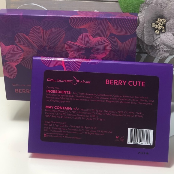 🏆HP🏆ColouredRaine Berry Eyeshadow Palette - Picture 6 of 6
